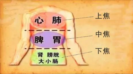 图片1(48).png