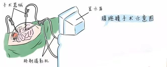 图片1(56).png