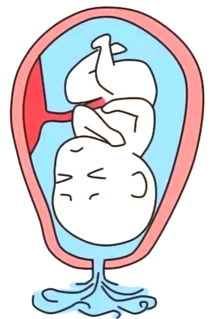 图片1(184).png
