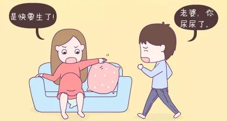图片1(185).png