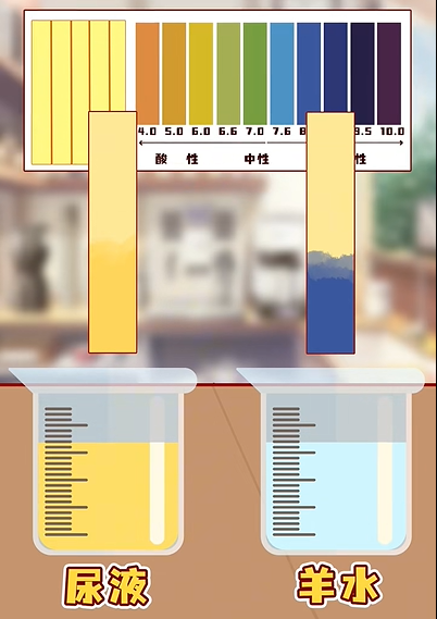 图片1(186).png