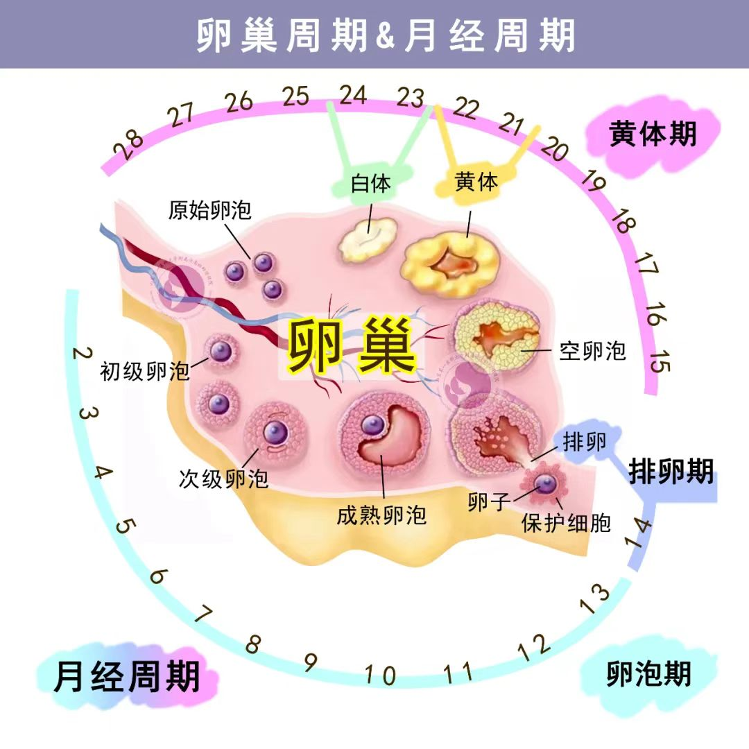 图片1(191).png