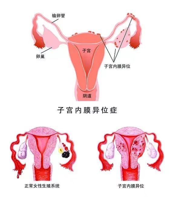 图片1(192).png